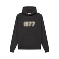 1977 Hoodie